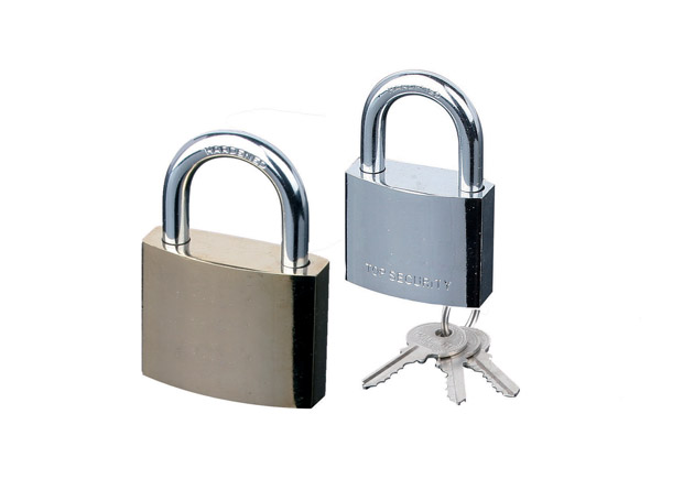 
	Iron padlock